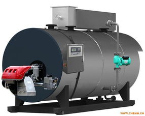 臥式冷凝常壓熱水鍋爐與LNG低溫常壓儲(chǔ)罐 核心技術(shù)、廠家概覽與市場展望
